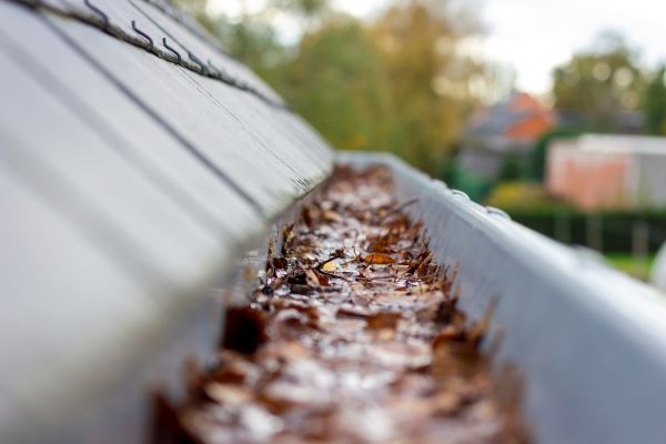 Commercial Gutter Cleaning in Loganville
