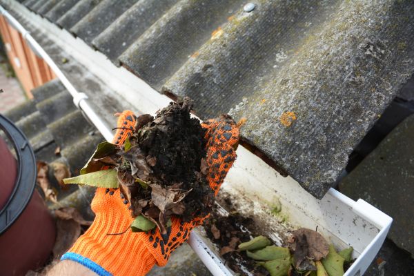 Seamless Gutter Cleaning in Loganville