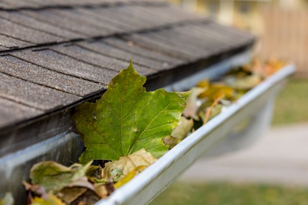 Commercial Downspout Cleaning in Loganville