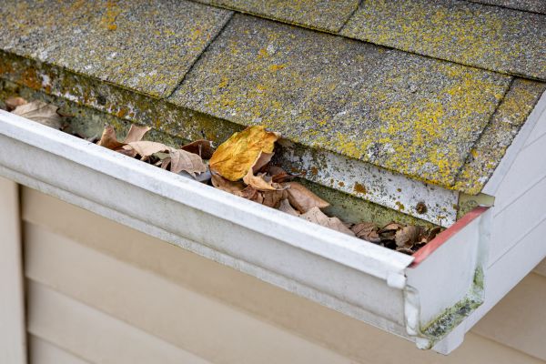 Cost of Garage Gutter Cleaning in Loganville
