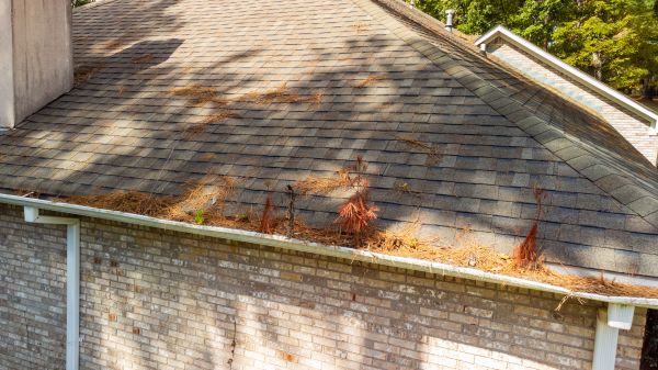 Cost of Gutter Pine Needle Removal in Loganville