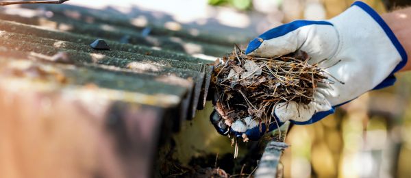 Pine Needle Gutter Cleaning in Loganville