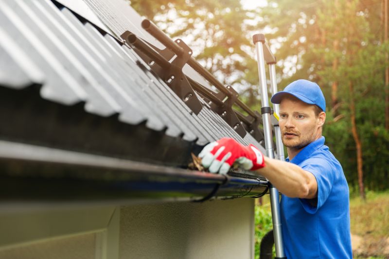 Ladder Safety in Gutter Cleaning