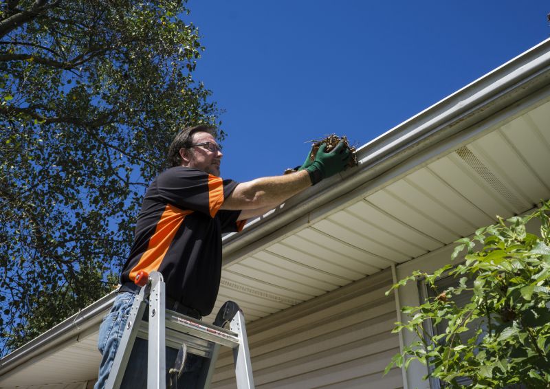 Cleaning Gutters from the Ground