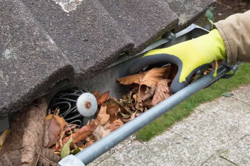 Gutter Cleaning Tools