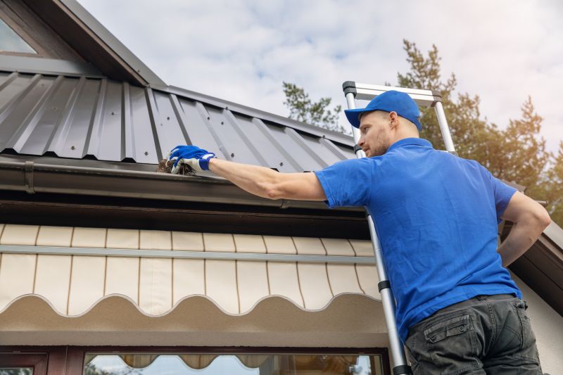Gutter Cleaning Safety
