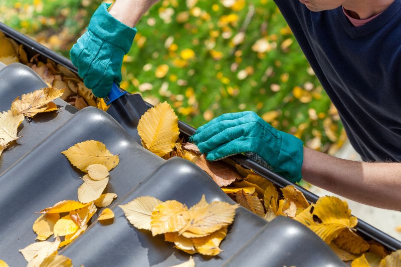 Fall Gutter Cleaning
